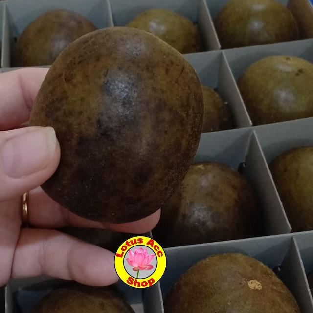 

Diskon BUAH LOHANKUO / LO HAN GUO PERPCS