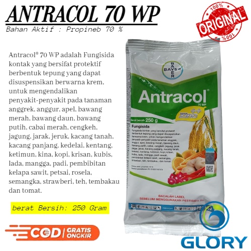 Fungisida Antracol 70 Wp 250 Gram Atau Obat Pembasmi Pengendali Penyakit Hama Jamur Pada Tanaman Bua