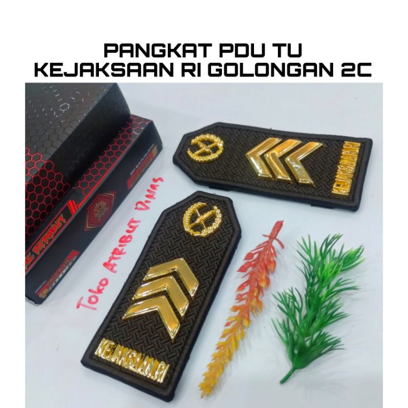 Pangkat PDU TU KEJAKSAAN RI Golongan 2c