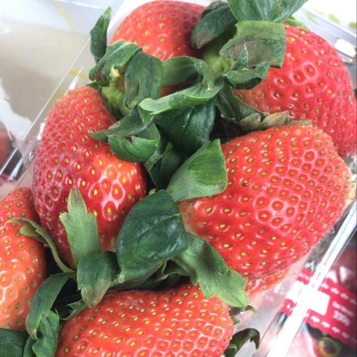 

Strawberry Korea Fresh 1 dus 4 pack x 330gram