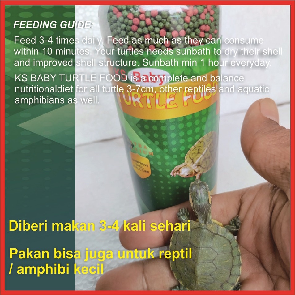 KS Turtle Food Pakan Kura Kura Brazil Pelet Pellet Turtle Vit Reptil Katak Kodok Kadal Mix / Grenn Turtle Vit 60gr 120gr 1mm 3mm 5mm