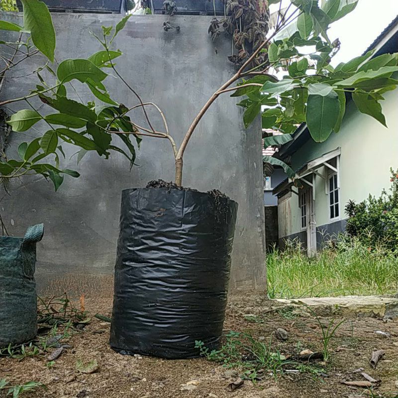 Polibag Jumbo 50x60 Pot Plastik Tebal Planterbag 40 liter