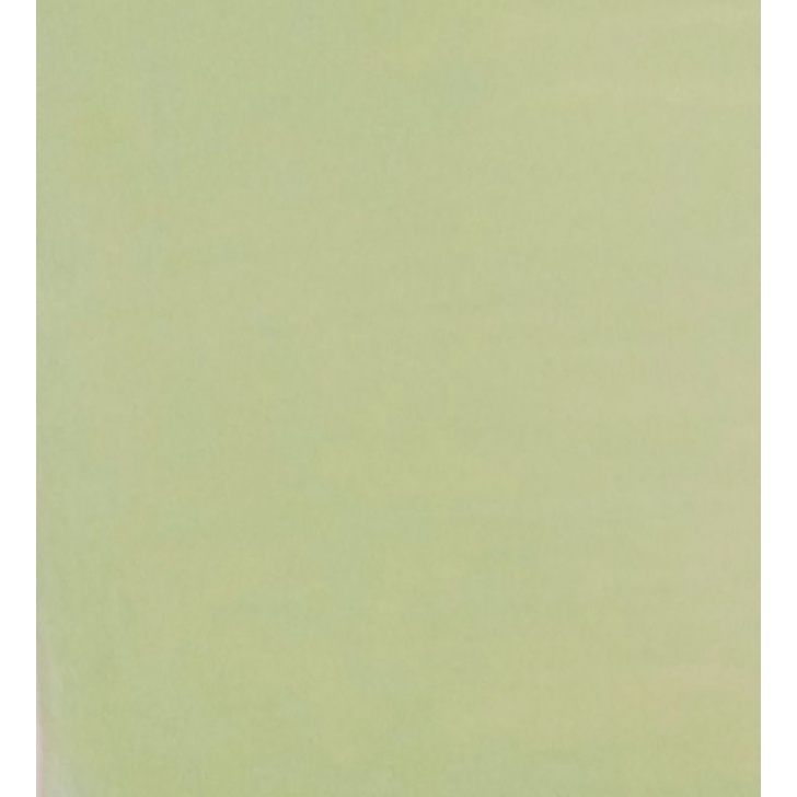 CAT TEMBOK 1 KG KWALITAS SUPER WARNA SAGE GREEN