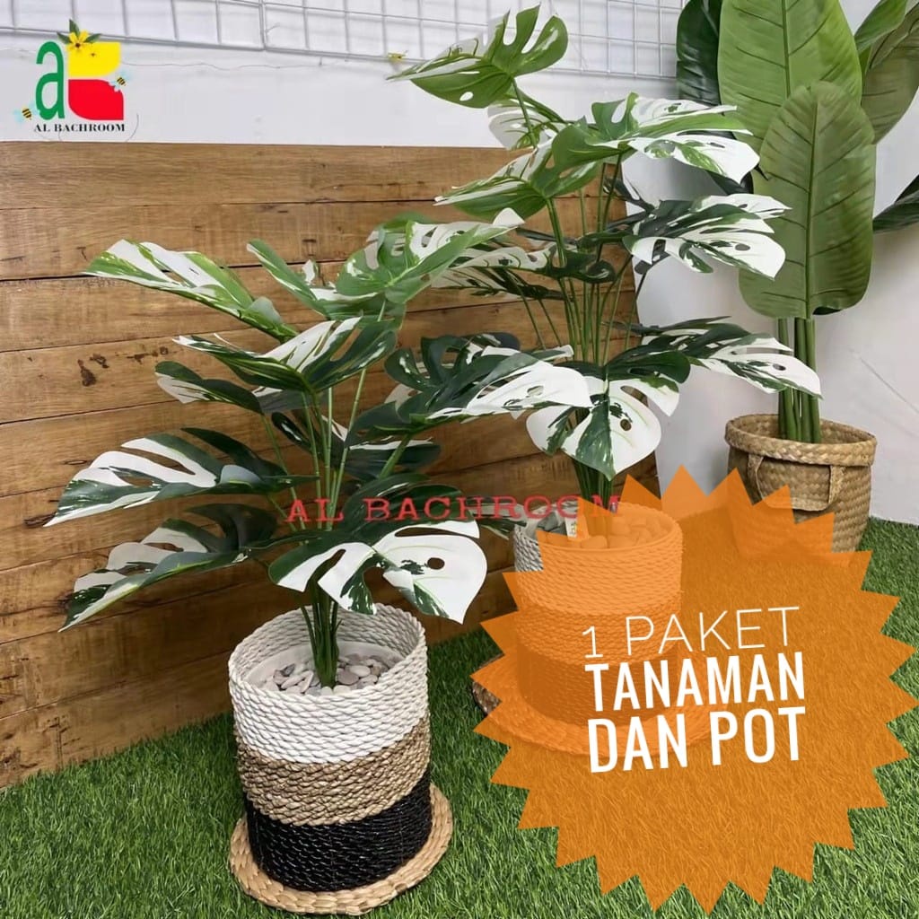 1 PAKET TANAMAN MONSTERA VARIEGATA DAN POT PIRUS 20CM RB6028 TANAMAN ARTIFICIAL DEKORASI RUMAH