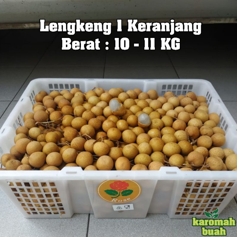 

buah lengkeng bangkok GOLD 1 krat berat 11 KG LEBIH