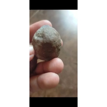 Jalim Gurame anak 2 Butir