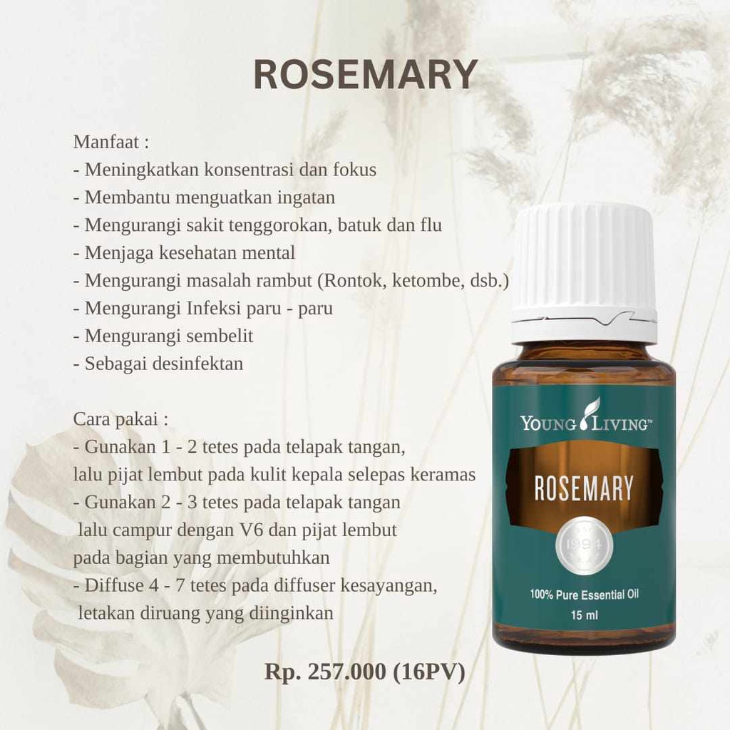 Oil Rosemary Young Living