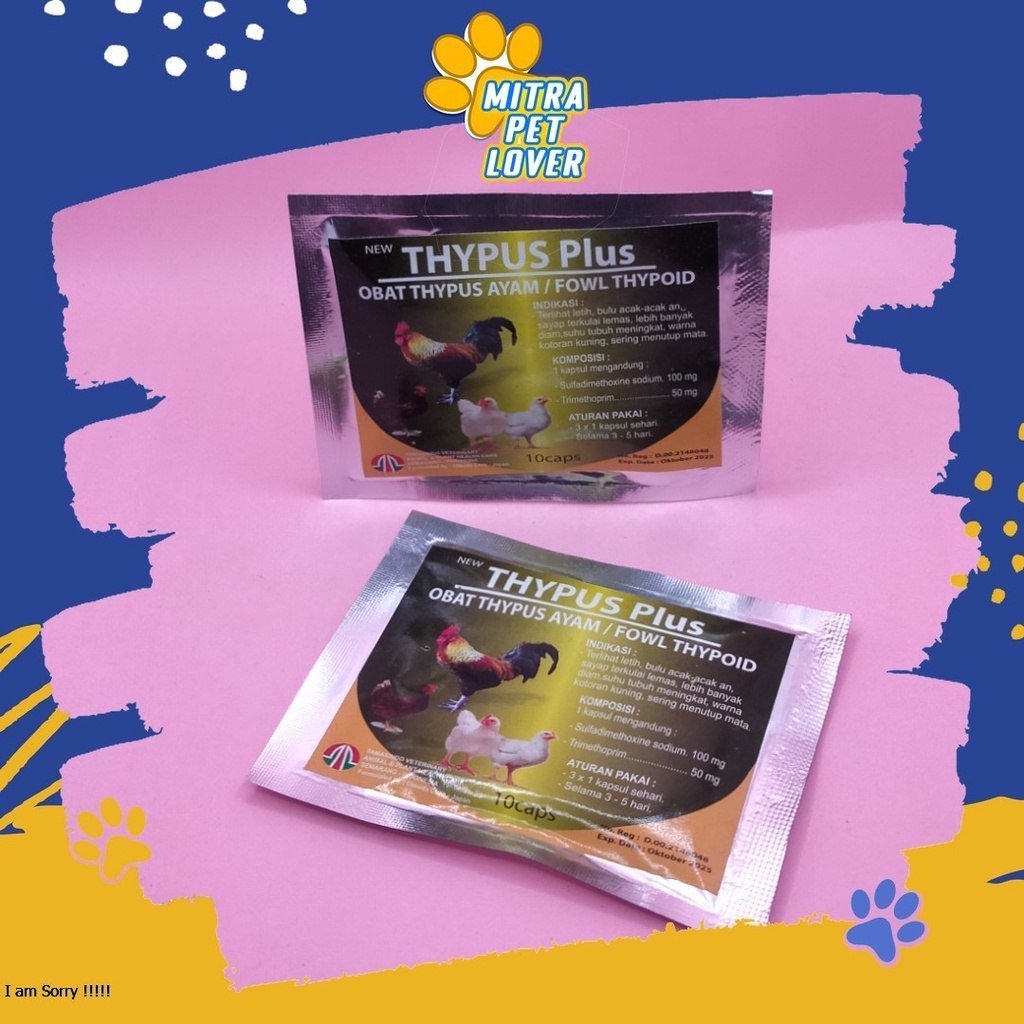 ANTI THYPUS AYAM - THYPUS PLUS CPSULE - 10 CAPSUL - MENGOBATI TIFUS FOWL TYPHOID TIPES UNGGAS TAMASINDO - MURAH ASLI GARANSI KUALITAS ORIGINAL - PET ANIMAL HEALTHCARE &amp; VETERINARY TAMASINDO OBAT KESEHATAN &amp;  VITAMIN TERNAK HEWAN  MITRAPETLOVER