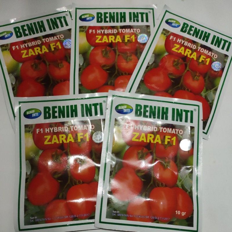Benih Tomat Hibrida ZARA F1 (10 GR) BENIH INTI
