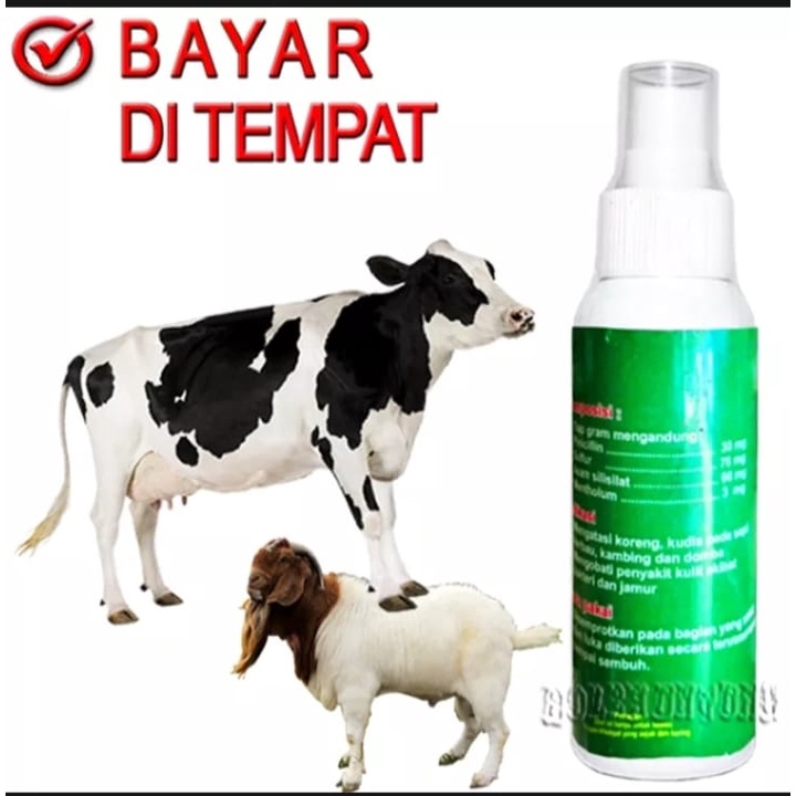 PINICILLIN SPRAY OBAT SEMPROT KORENG BOROK SAPI ANTI INFEKSI KULIT KAMBING KERBAU  AMPUH