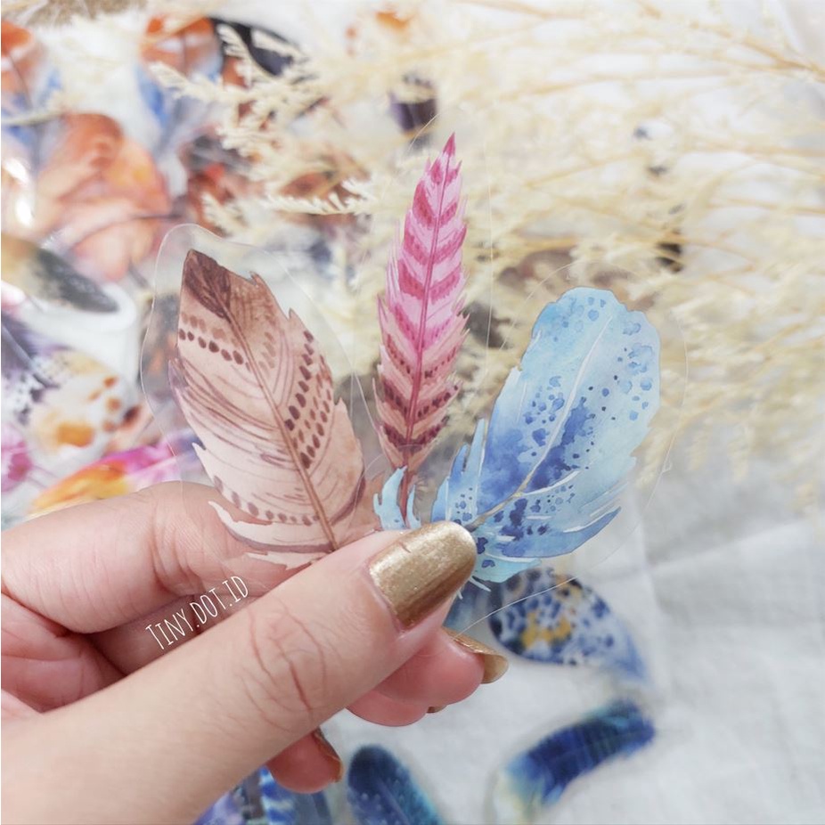 

Deco Sticker - Assorted Feathers (12 pcs)