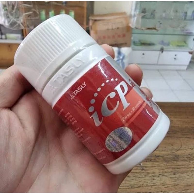 icp capsule obat jantung helbal asli original