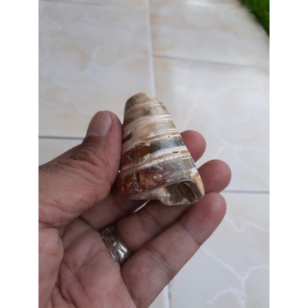 batu fosil kolbuntet kristal multi color