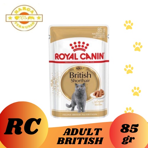 Royal Canin Adult British Shorthair Sachet 85 gr - Makanan kucing