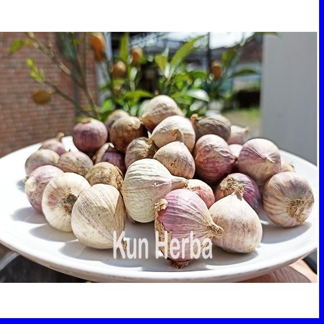 

Kemasan Baru BAWANG PUTIH TUNGGAL 1 KG - BAWANG PUTIH LANANG 08