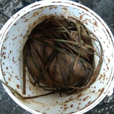 pakan makanan walet kis 2kg