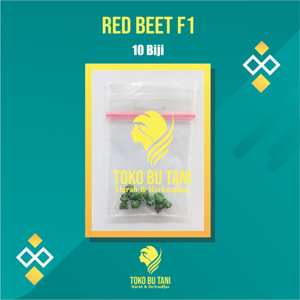 Benih Buah Organic Red Beet Buah Ubi Merah Beetroot Benih Buah-buahan Berkualitas