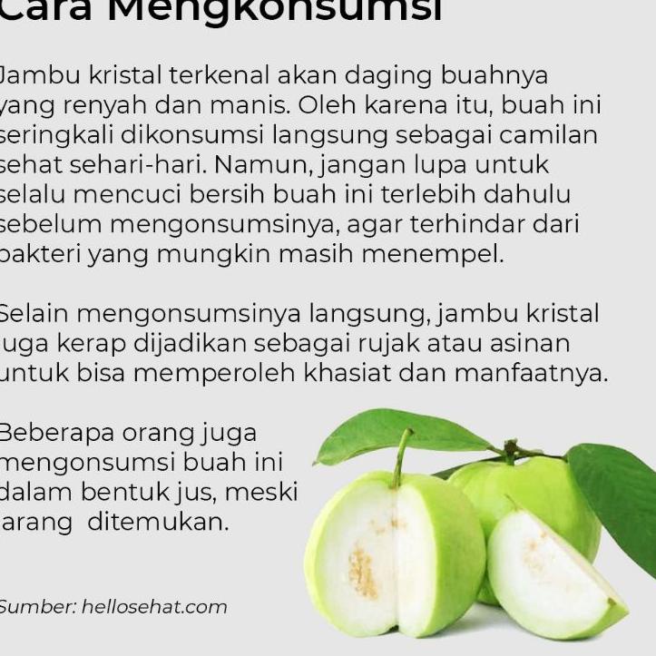

Buah Jamkis Buah Jambu Kristal 1 kg