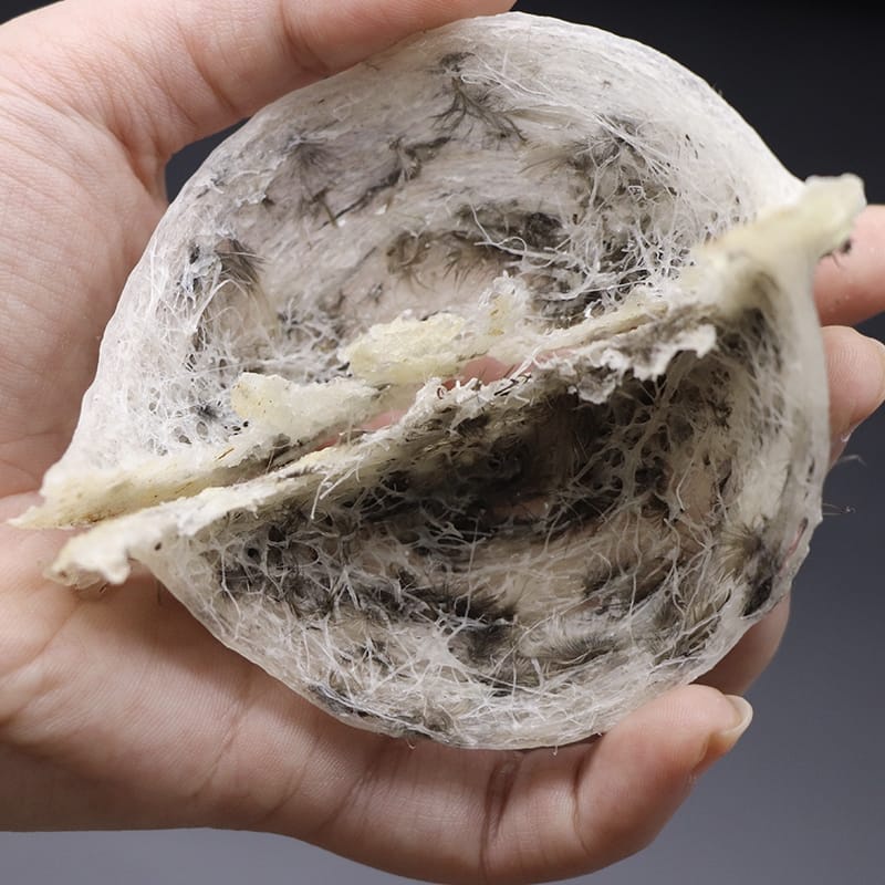 

SARANG BURUNG WALET KOTOR 1KG (毛燕窝) 燕窝 YAN WO - BIRDNEST CAMPUR