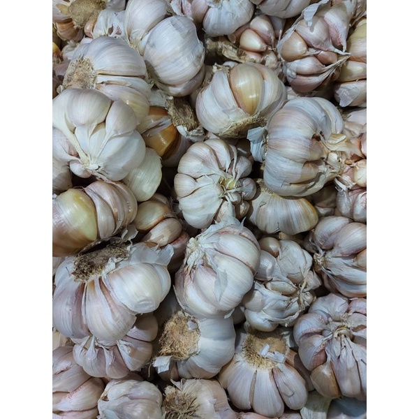 

RB BAWANG PUTIH HONAN 1 KG