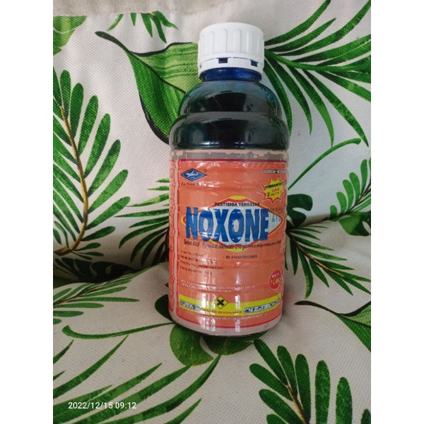 NOXONE herbisida 276SL obat rumput
