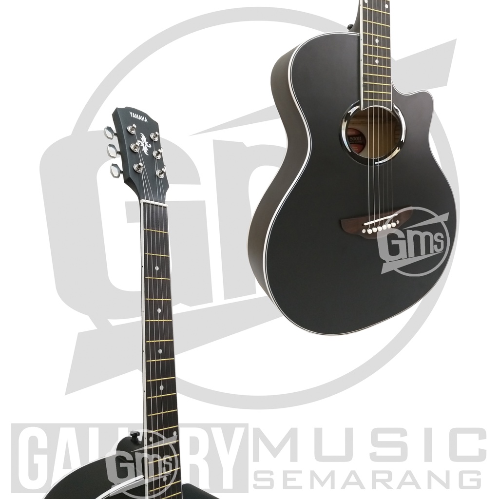 Gitar Akustik APX 500II Custom Standart Paket Super Komplit