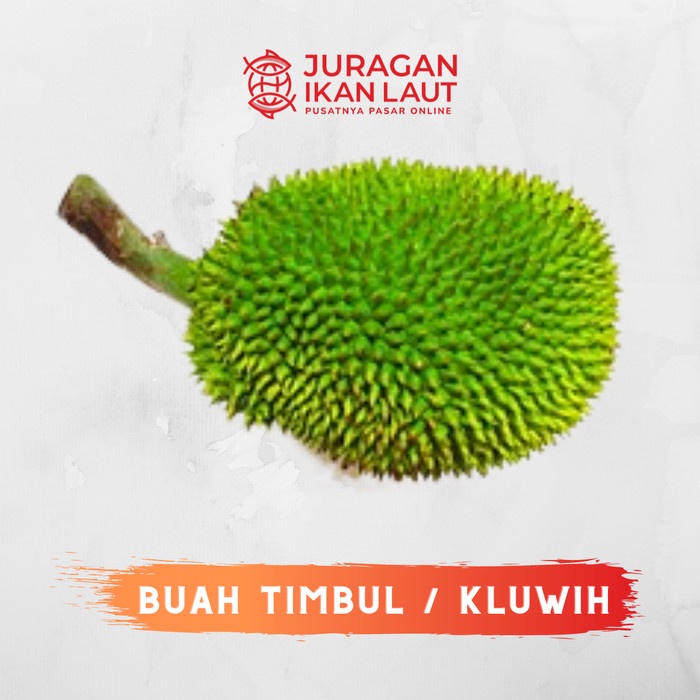 

Buah Timbul / Kluwih Berkualitas - 1 Buah