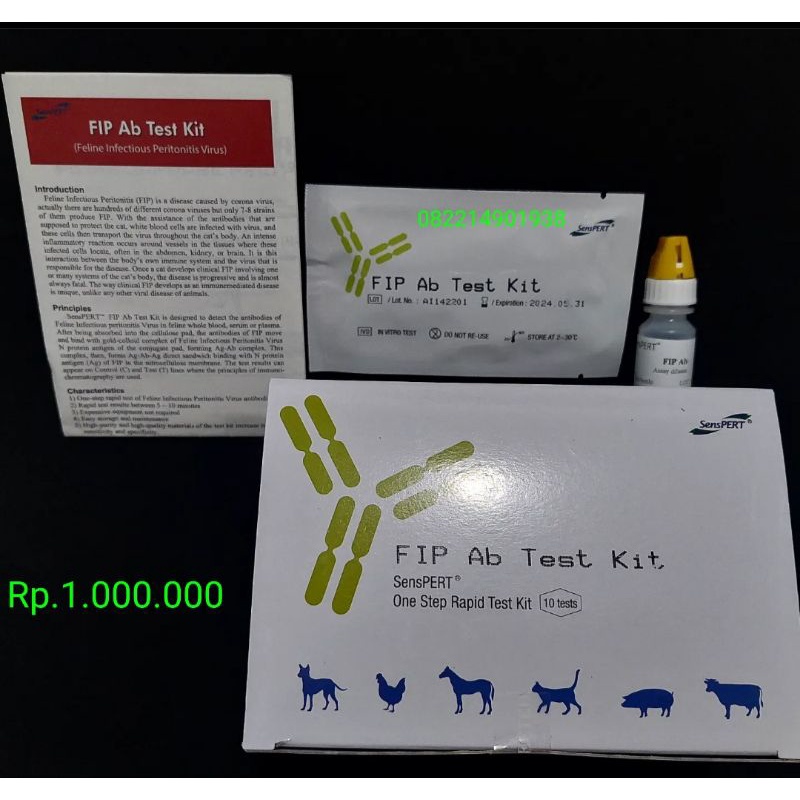 FIP kucing  tes