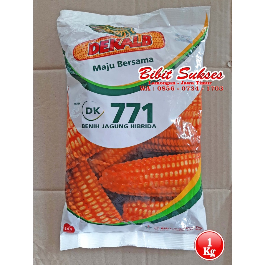 Benih Bibit Jagung Hibrida DK 771 Kemasan 1Kg