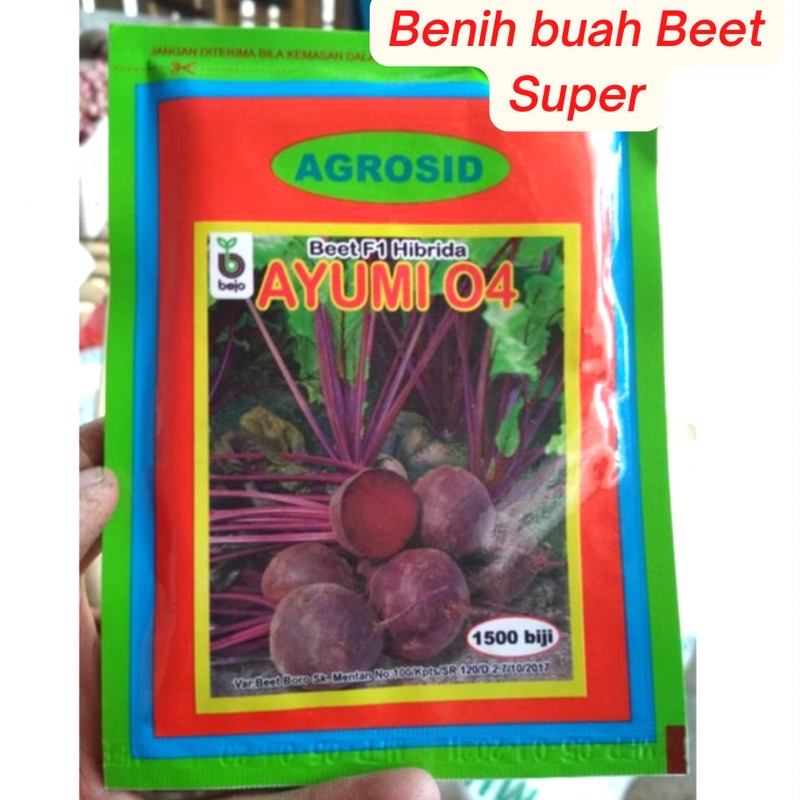 

Benih Buah Beet, Benih umbi Beet root isi 1500biji kualitas Super