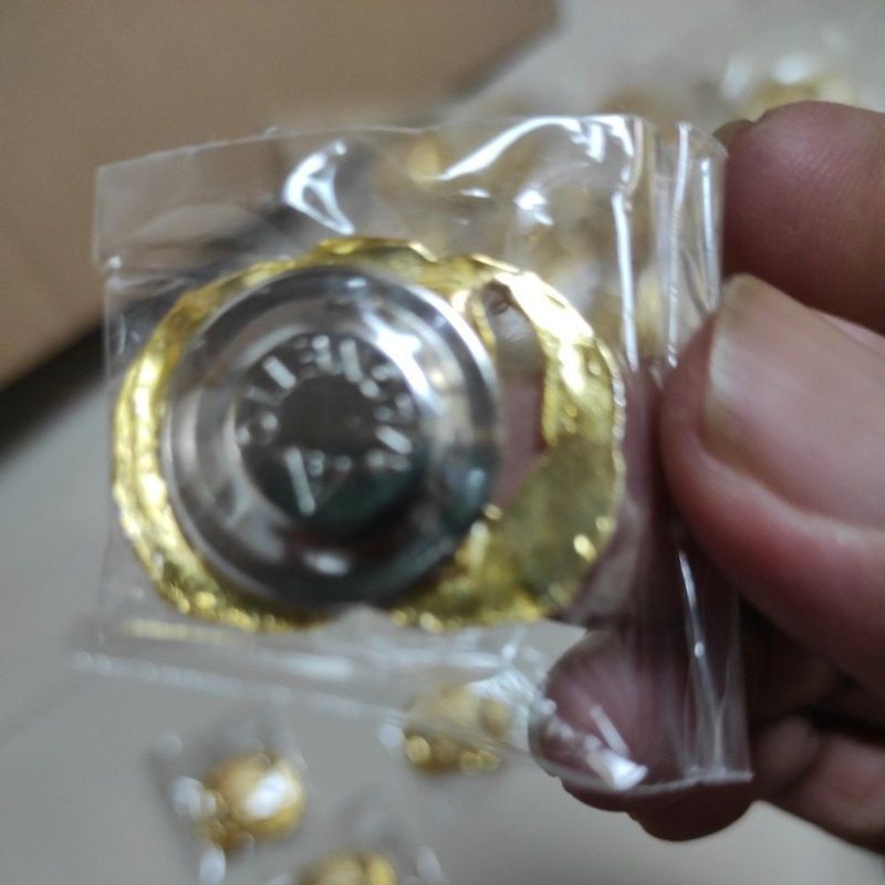 Pin Korpri ASN
