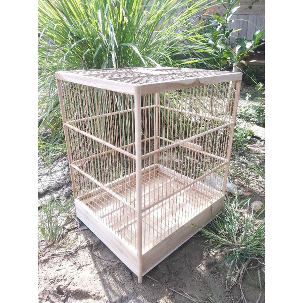 SANGKAR BURUNG TERNAK KENARI AMBRUKAN