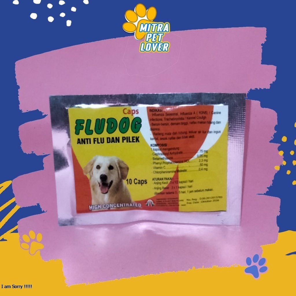 MENGOBATI FLU PADA ANJING - FLU DOG CAPSULE - 10 CAPSUL - MENGATASI INFLUENZA BERSIN DEMAM TINGGI RADANG SESAK NAFAS - MURAH ASLI GARANSI KUALITAS ORIGINAL - PET ANIMAL HEALTHCARE &amp; FLUDOG TAMASINDO OBAT KESEHATAN &amp;  VITAMIN TERNAK HEWAN MITRAPETLOVER