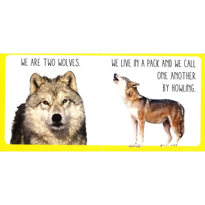 BOARD BOOK NO SOUND - FOREST ANIMALS