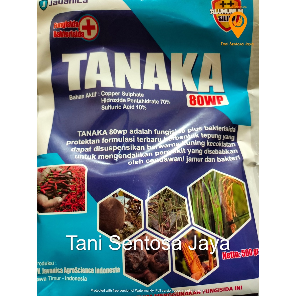 Fungisida Kontak Tanaka 80WP - Fungisida & Bakterisida Pengendali Layu fusarium, Phytium, Patek