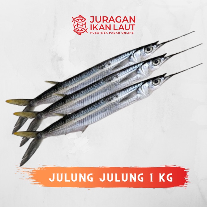 

Ikan Julung Julung Segar Berkualitas - 1 Kilogram