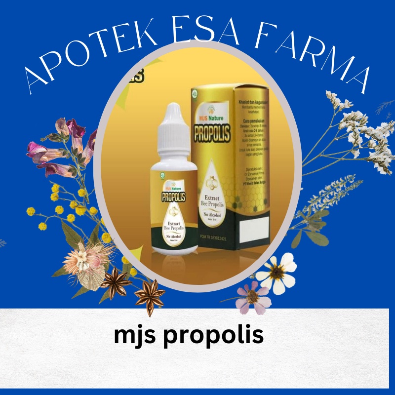 

mjs propolis