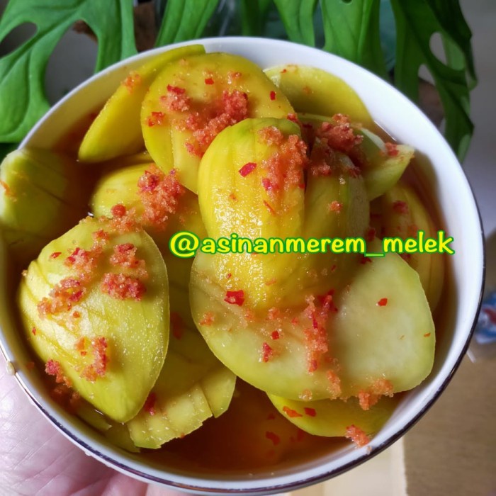 

Asinan Mangga Kipas Tx0697