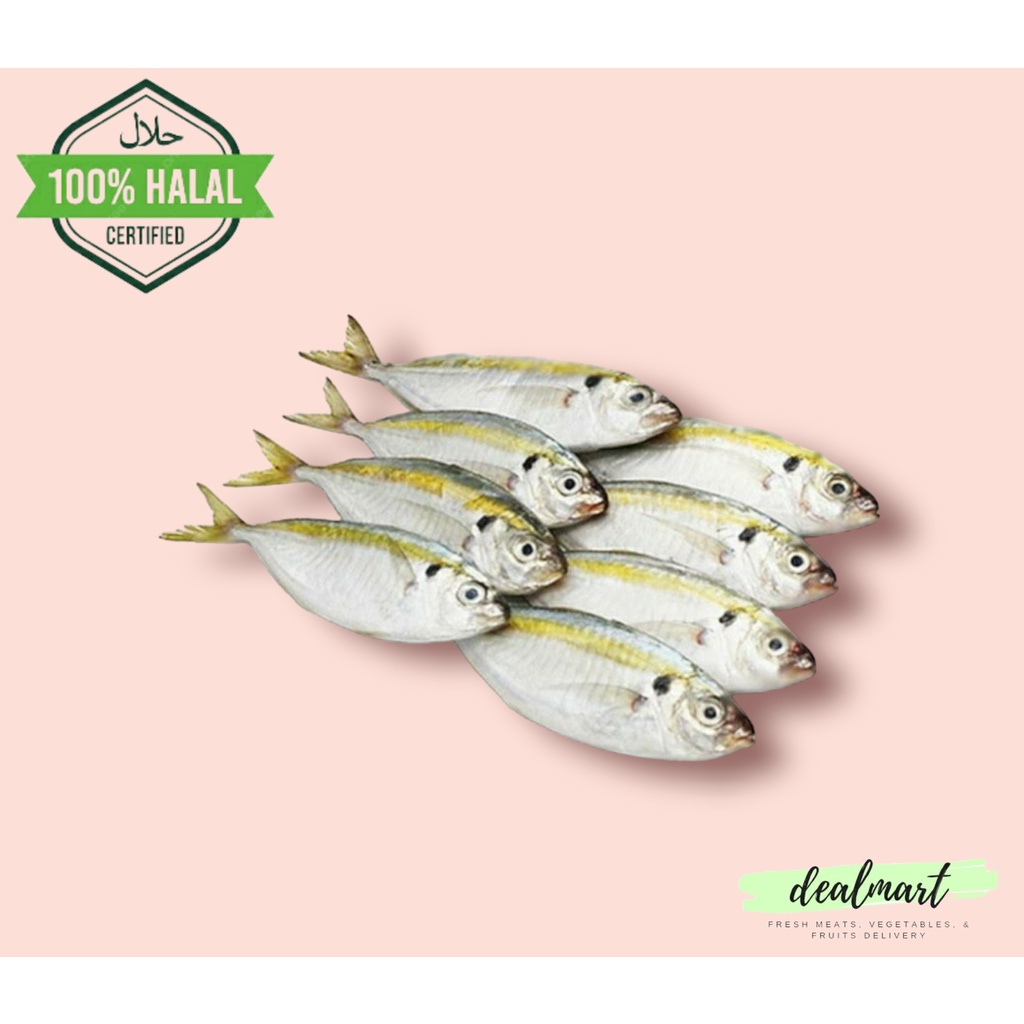 

Ikan Selar Fresh 500 Gram