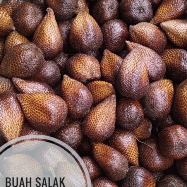 

BUAH SALAK PONDOH GROSIR KARUNGAN