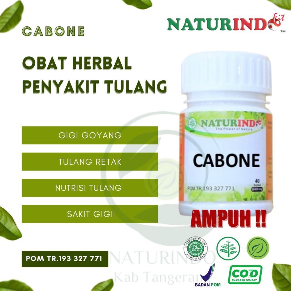 

Naturindo Obat Herbal Suplemen Nutrisi Kalsium Peninggi Badan Patah Retak Tulang Gigi Goyang Cabone Tangerang