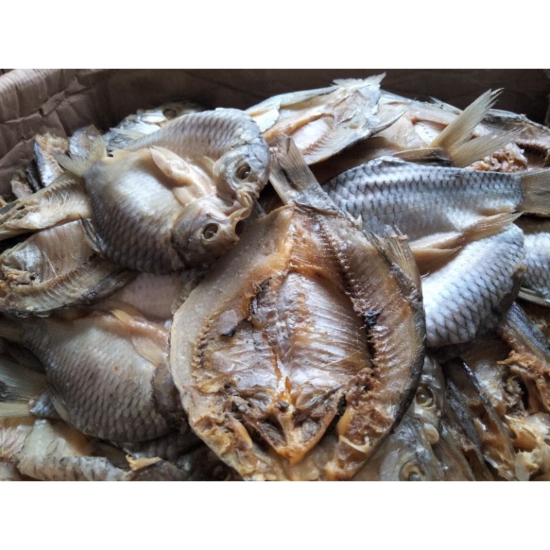 

Ikan Tawes Grade A Premium ready kemasan 1kg
