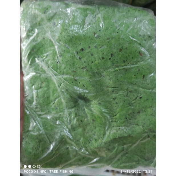 Umpan viral Umpan Galatama Lele daging biawak ijo