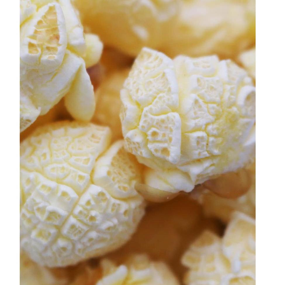 

Pasti Murah.. Jagung popcorn Mushroom Extra Large Preferred 1 kg YJM