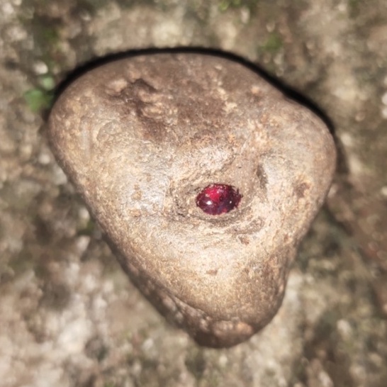 batu mustika tapa delima merah sir alam asli temuan sepuh antik pusaka pamor langka jadul kuno