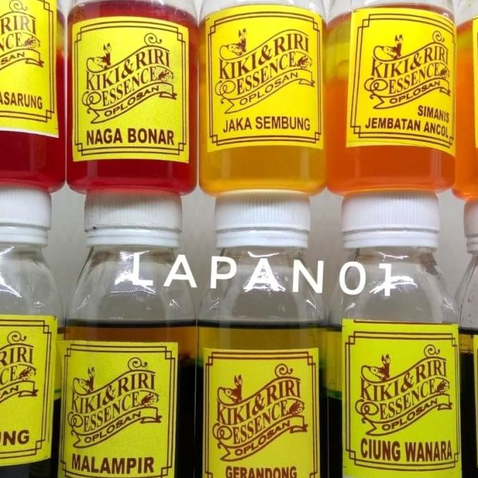 [Bayar DiTempat] Umpan Essen Oplosan Kiki Riri