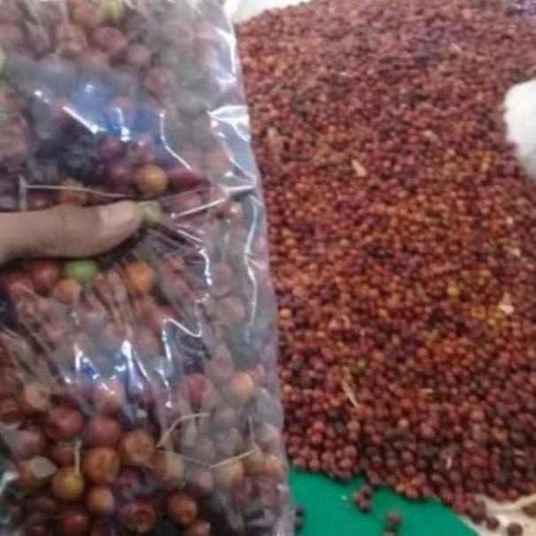 

(H-Q6Q)[☎] BUAH BIDARA KERING 1 KG langsung kirim