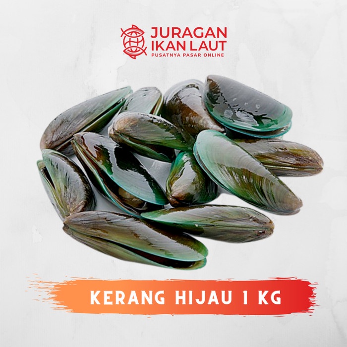 

Kerang Hijau Segar - 1 Kilogram JABODETABEK