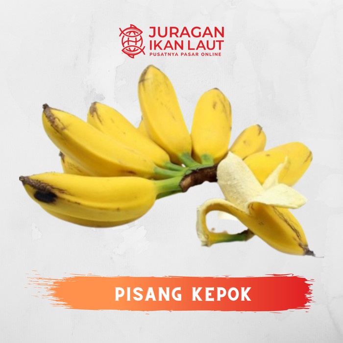 

Buah Pisang Kepok Lokal - 1 Sisir JABODETABEK