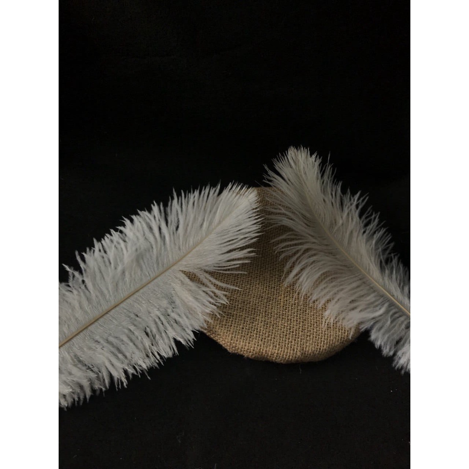 1 HELAI 15 CM - 40 CM BULU OSTRICH | DEKORASI | FASHION | HAIRPIECE